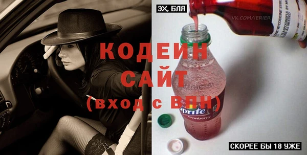 сатива Корсаков
