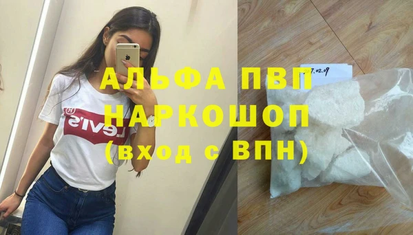 прущие грибы Красноперекопск