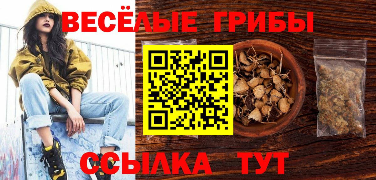 Курчатов  Псилоцибиновые грибы Psilocybe  Вход с VPN 