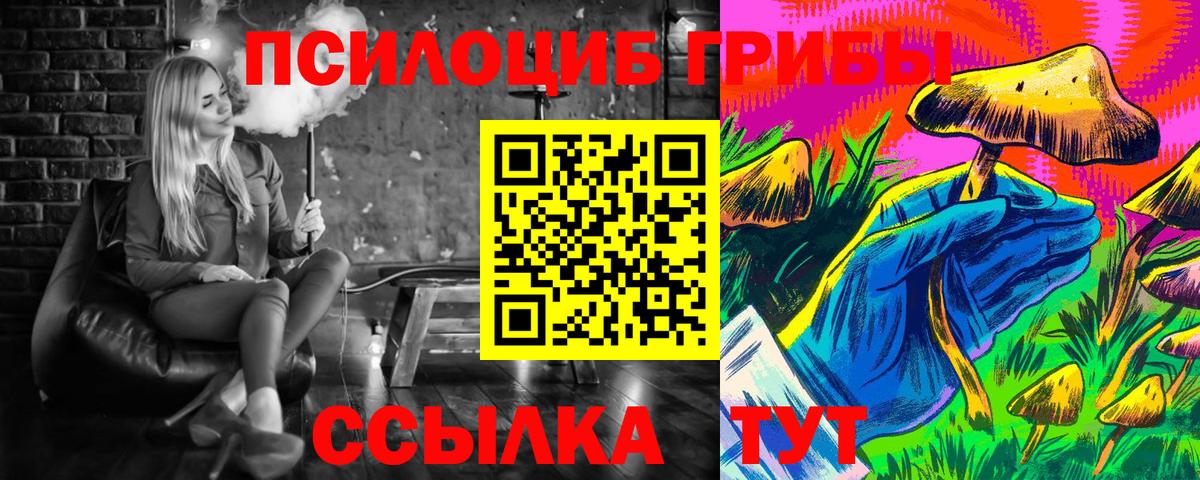 Галлюциногенные грибы мухоморы  купить   Псилоцибиновые грибы Psilocybe  Курчатов 