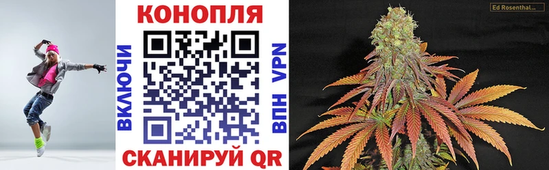 магазин Курчатов Бошки Шишки SATIVA & INDICA
