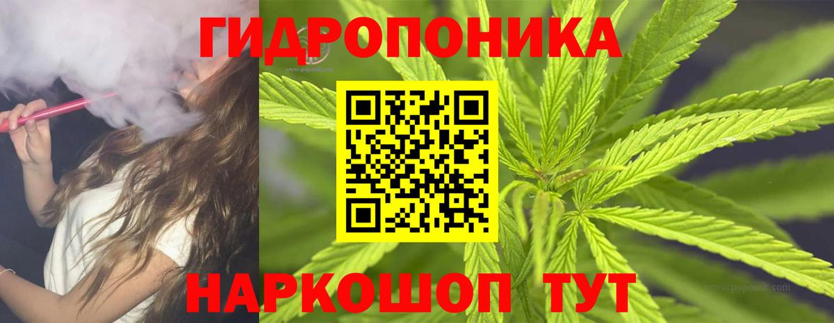 Марихуана сатива Курчатов